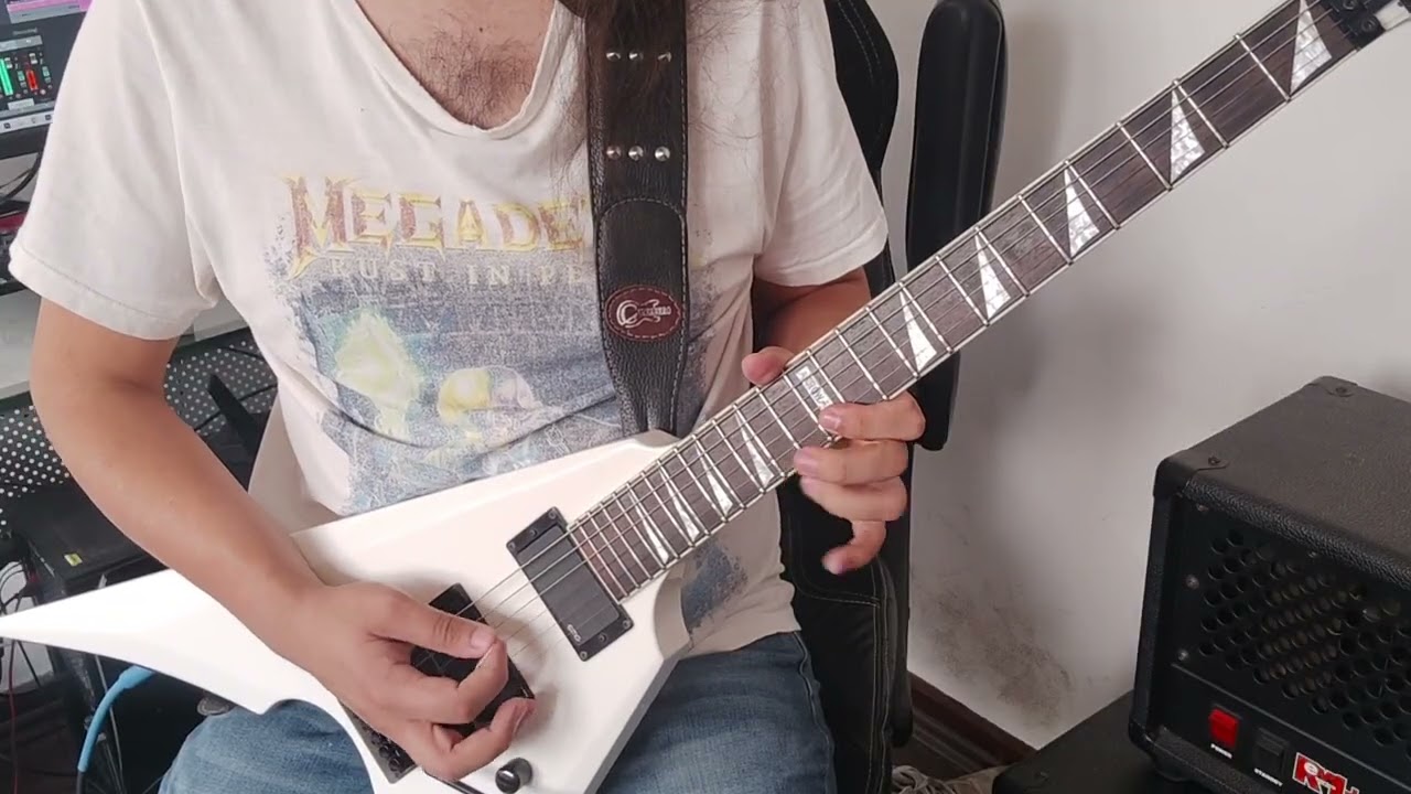 Iron Maiden - The trooper (guitar cover)