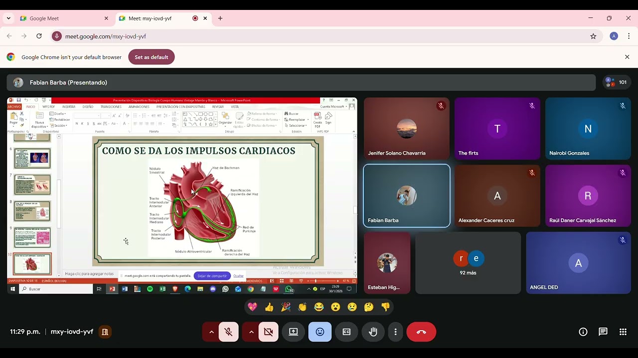 Funcionamiento del corazon