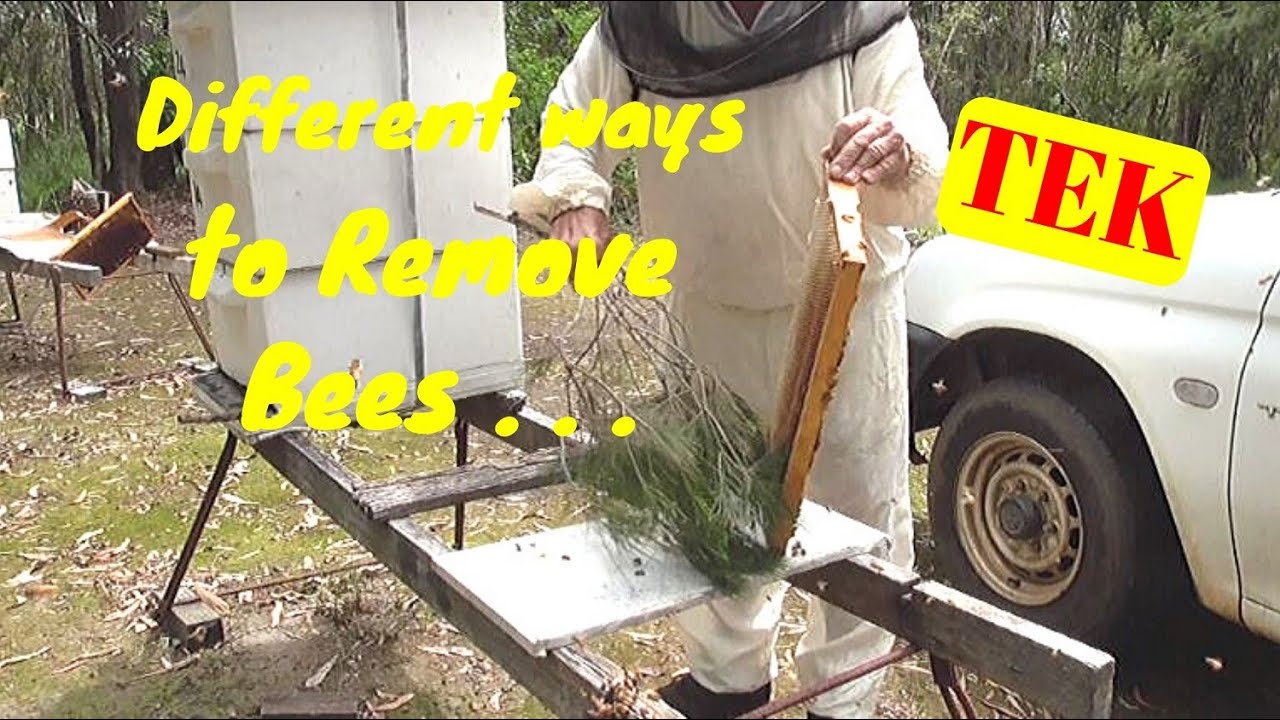 2. 23 Different Ways to Remove Bees from Supers -  Frames  #Beekeeping #TEK Method