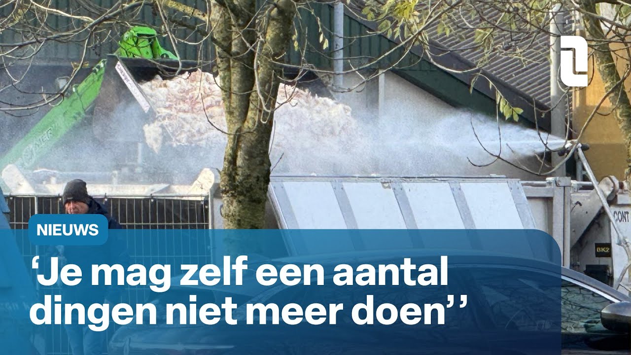 Vogelgriep in Helden en Tienray: grote impact op ondernemers | L1 Nieuws