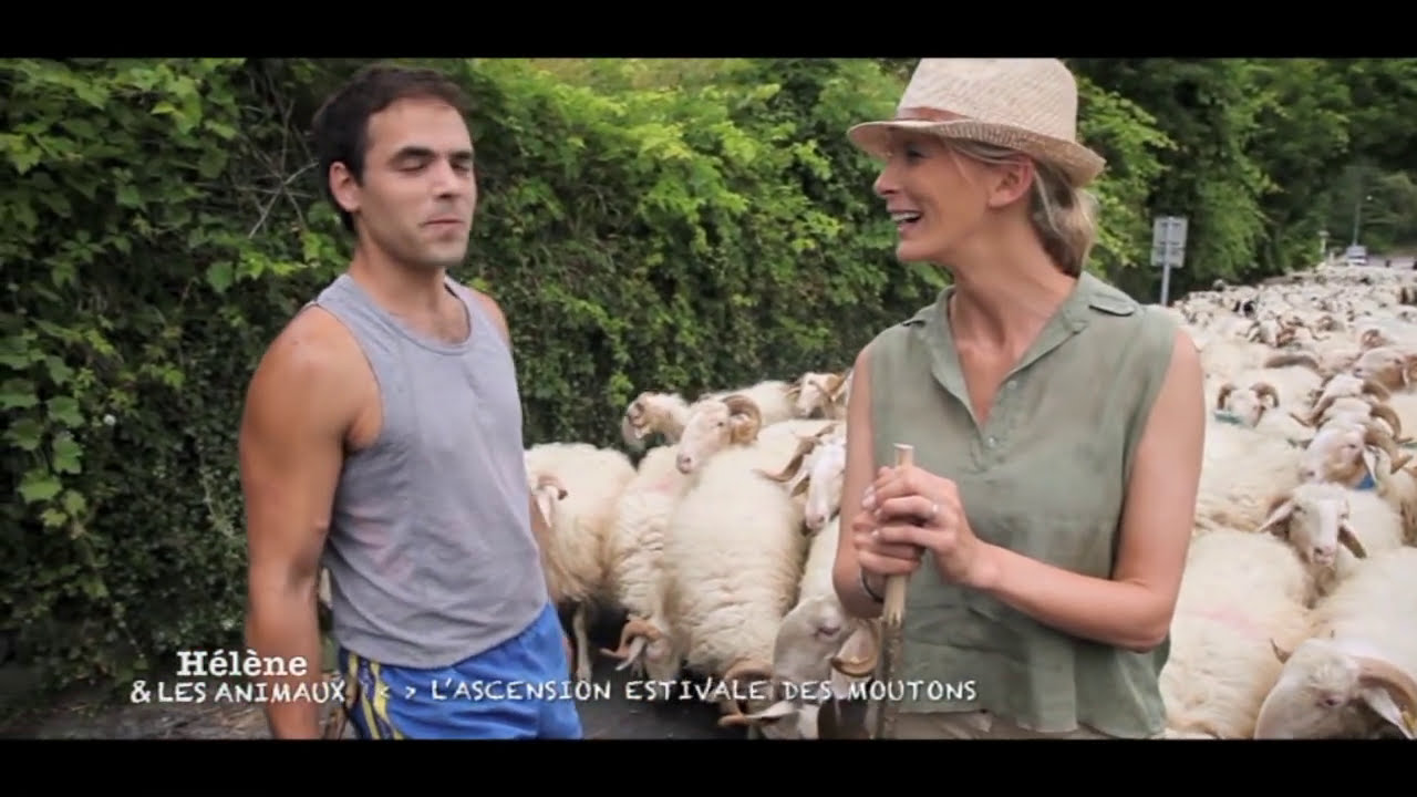 La transhumance de la famille Guédot