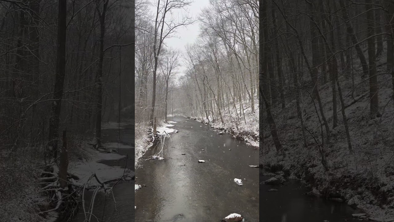 Snow Falling on the Winter Creek