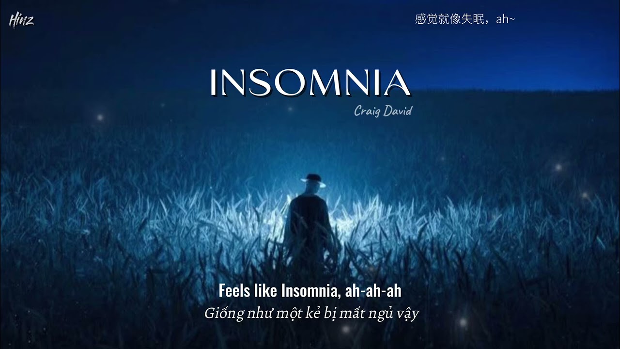 [Vietsub+Chinese] INSOMNIA (slowed 2026) - Craig David | Nhạc chill t&acirc;m trạng hot Tiktok