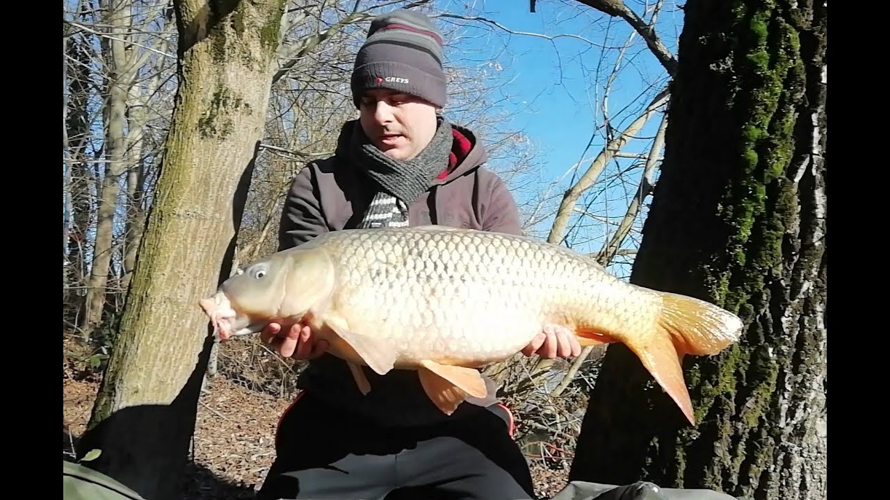 Carp run compilation - Vol. 4 - Mixed Rivers