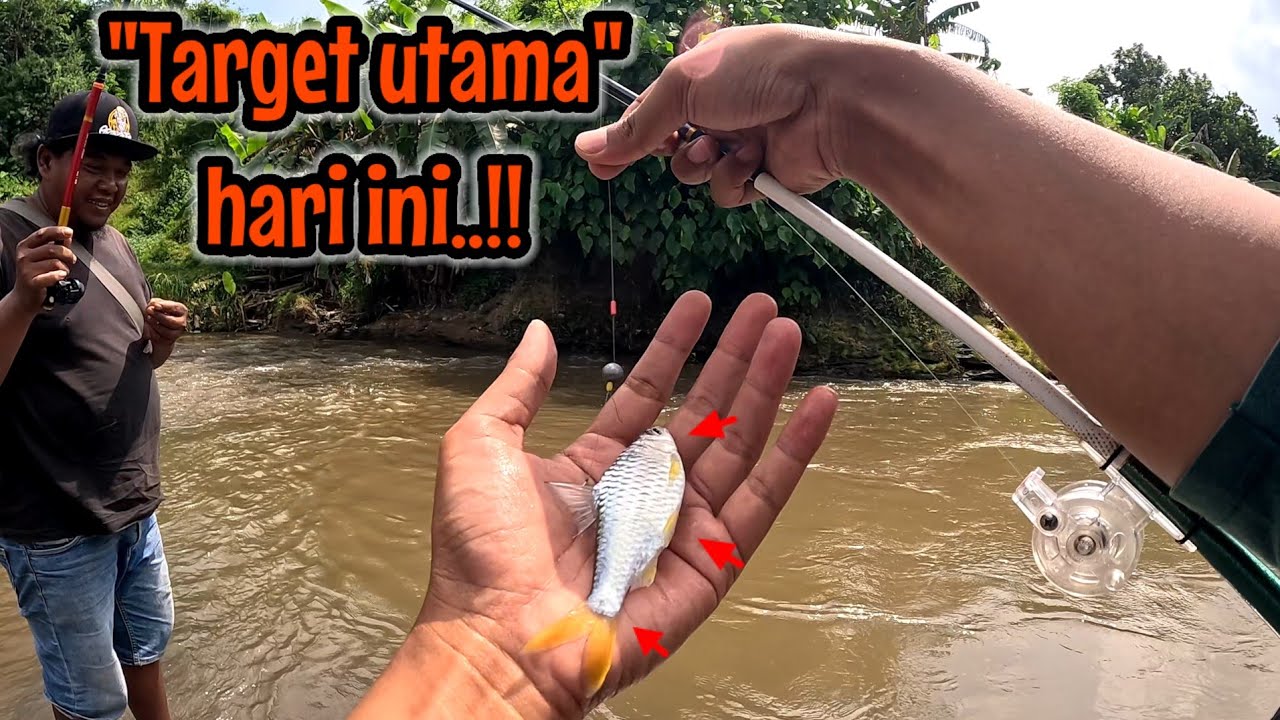 HARI INI KITA COBA MANCING IKAN KEPREK PAKAI TEGEK TEHNIK DASARAN ‼️