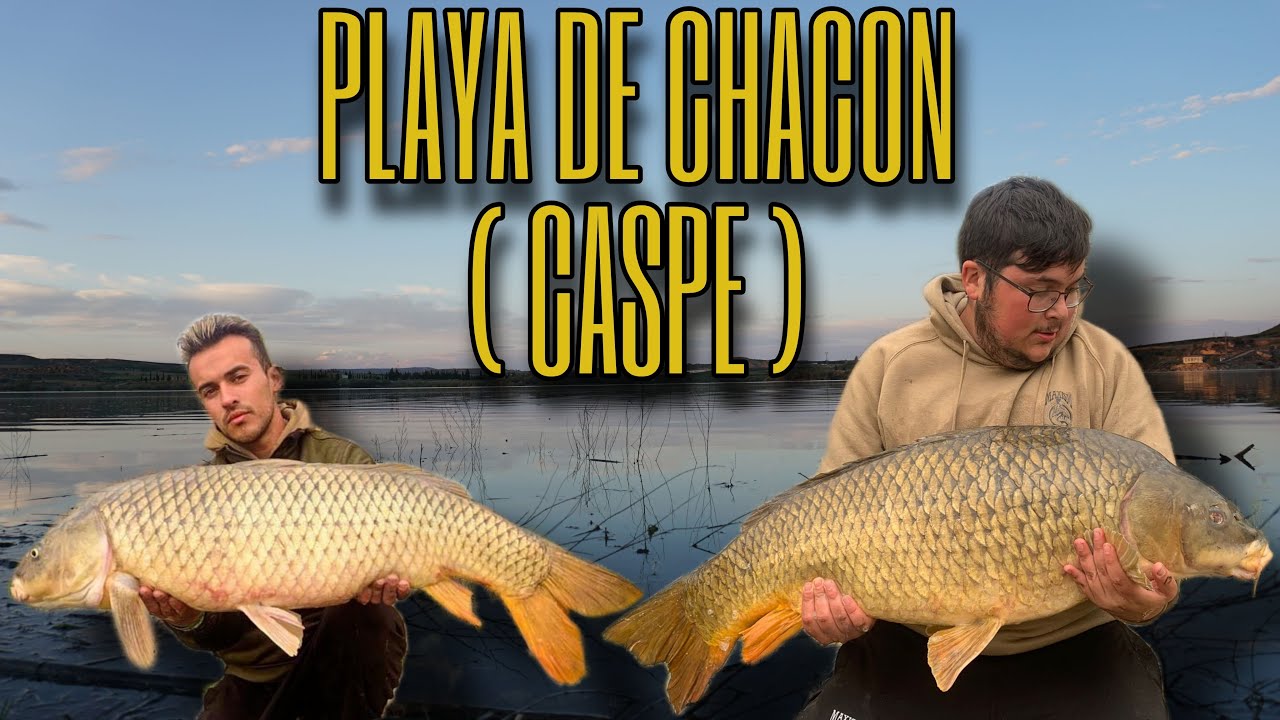 LIADA MAXIMA EN EL EBRO PB | CARPFISHING | 2022