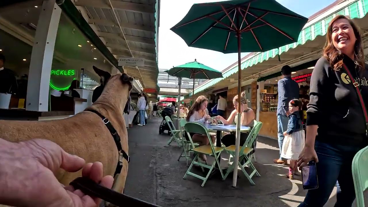 Cash 2.0 Great Dane на рынке The Grove and Farmers Market в Лос-Анджелесе 83