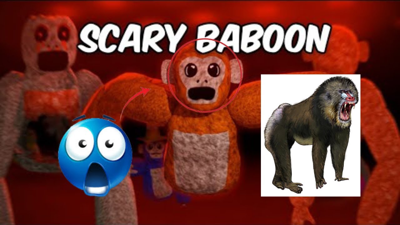 Scary Baboon Is SO SCARY!😨😨