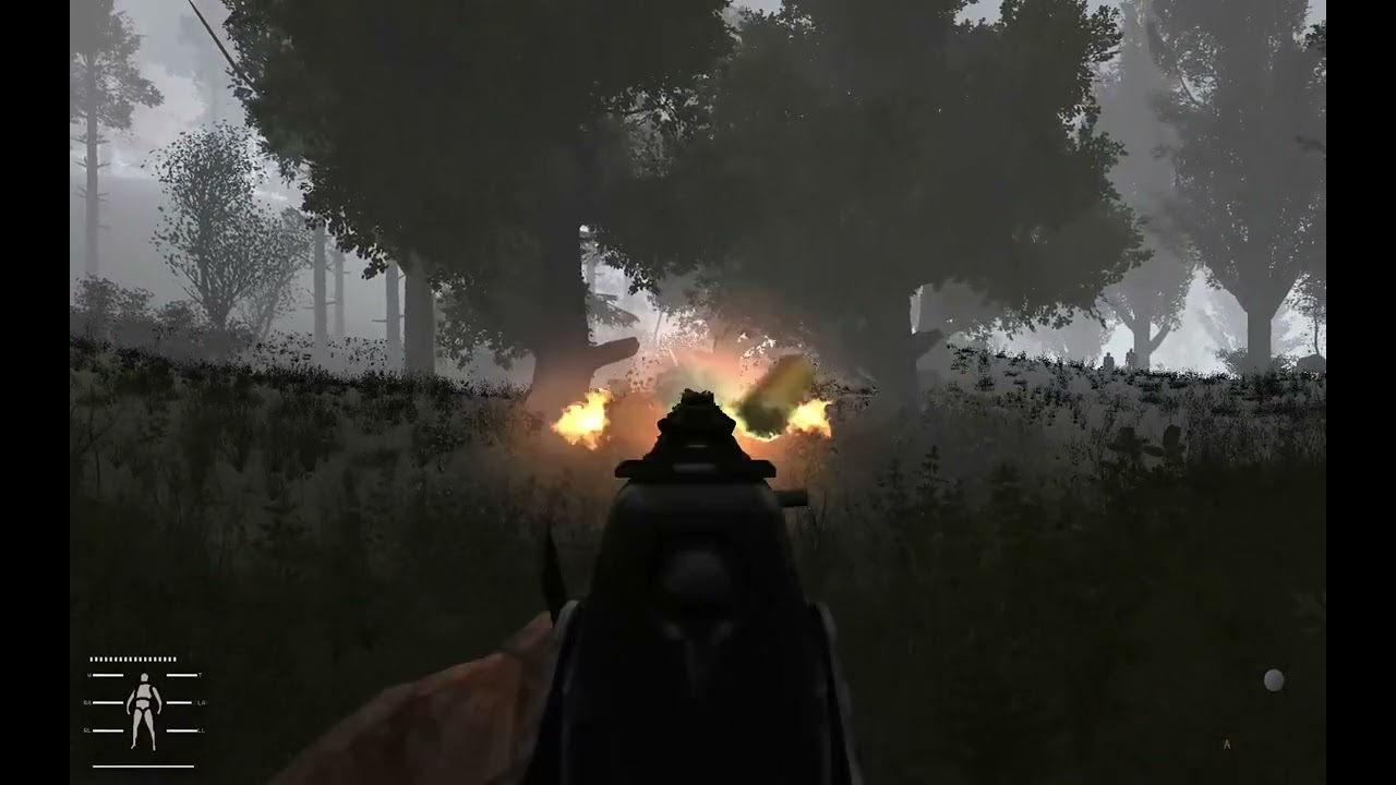 S.T.A.L.K.E.R. Anomaly (gameplay + story)