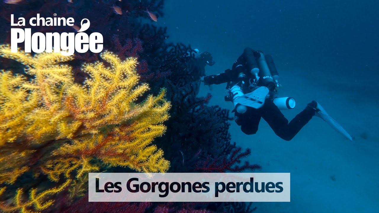[EXPLORATION] 😎 Plongée CCR à 60m