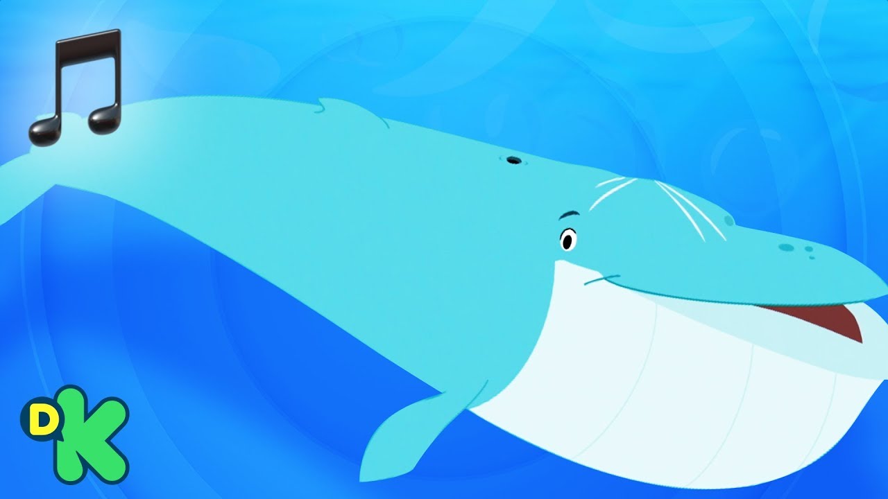 🎵As baleias | O Show Da Luna |  Discovery Kids Brasil