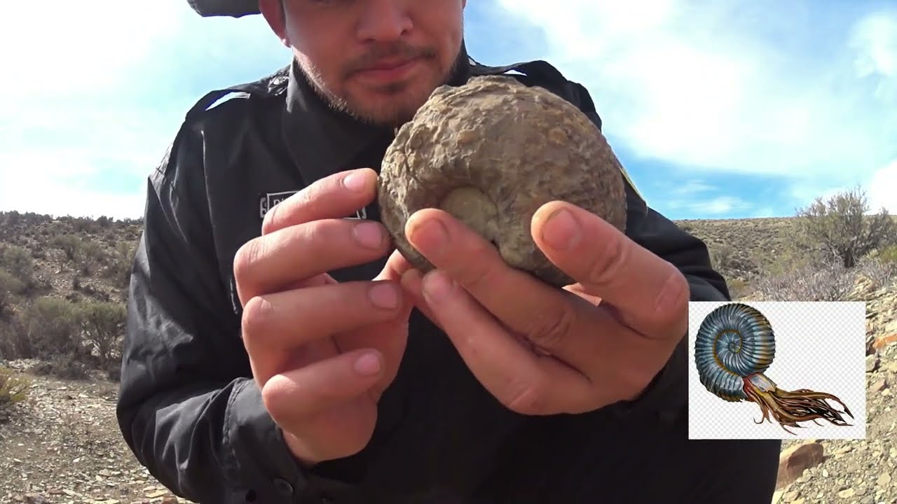 Encontramos fósiles y puntas de flechas- Un pasado bajo el océano (RUTA 40)- Patagonia