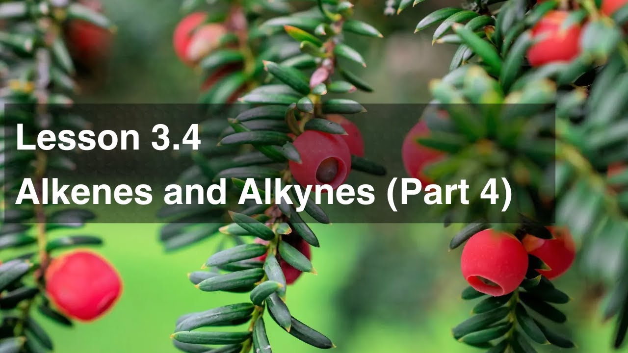 Lesson 3.4 Alkenes and Alkynes (Part 4)