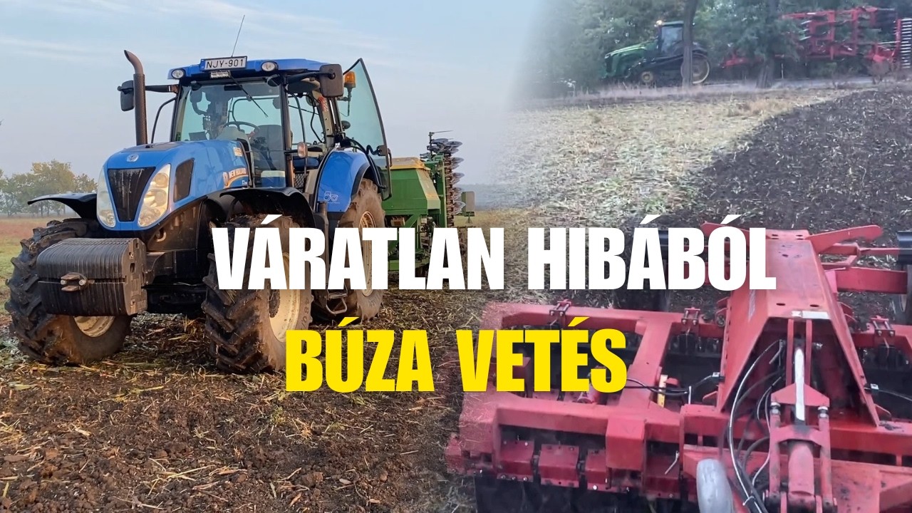 Tárcsázásnak indult, de vetés lett belőle – Elkezdtük az őszi búzavetést!
