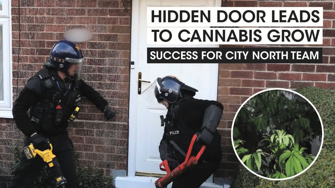 Drugs discovered during morning warrants in City North