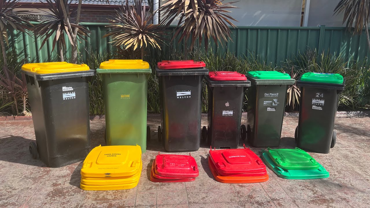 2025 summer bin update
