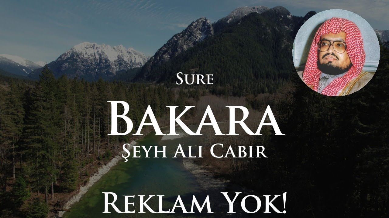 Sure Bakara Reklamsız | Şeyh Ali Cabir | Kuran Tilaveti Doğa Manzarası