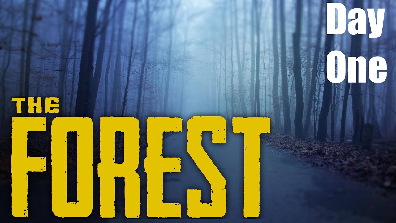 The Forest - Survival Horror - Day One - PC Gameplay