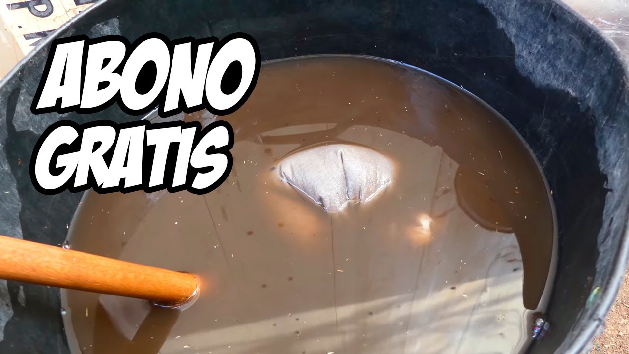 Logra que tus PLANTAS crezcan más rápido (Abono Casero con Te de Compost)