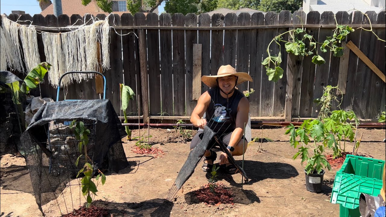 Microclimate - How To Strategically Plant Your Tropical Fruit Trees