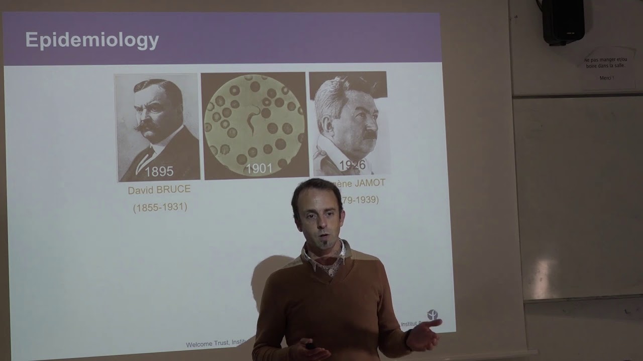 Trypanosomose Humaine Africaine : le chainon manquant ? - Brice Rotureau INSTITUT PASTEUR