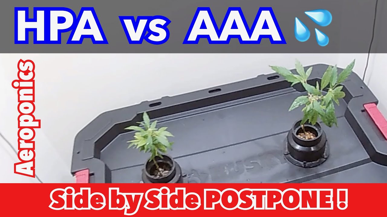 Air Atomizing Aeroponics Vs High Pressure Aeroponics POSTPONED Pandemic