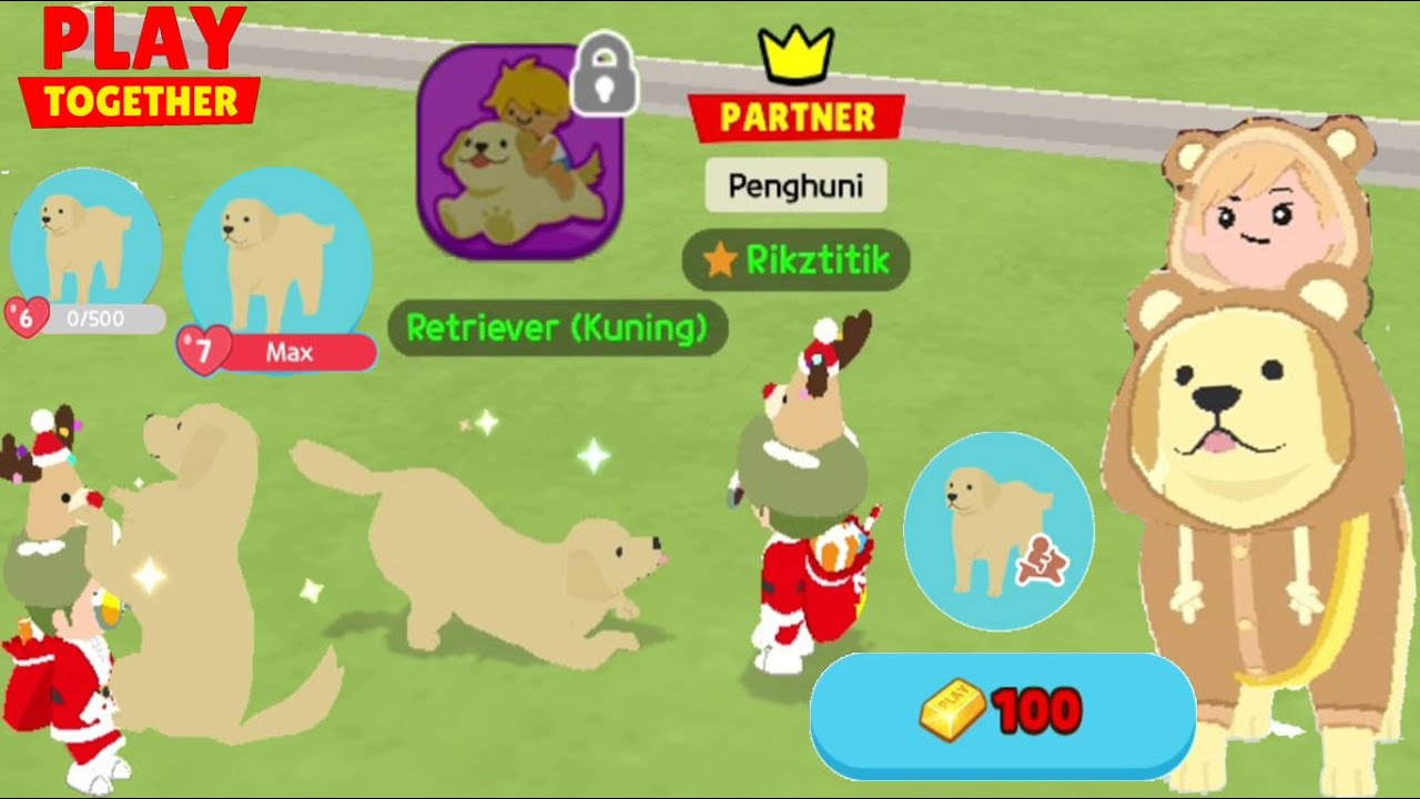 CARA NAIK PET RETRIEVER, ADA SYARAT YANG WAJIB DIPERHATIKAN, PLAY TOGETHER