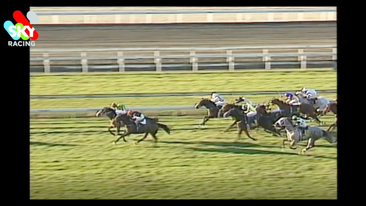 1998 STRADBROKE HCP TOLEDO