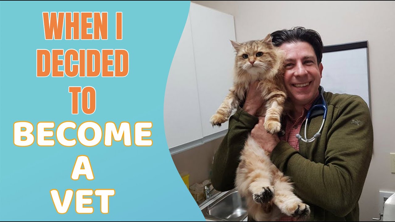 How I decided to become a veterinarian