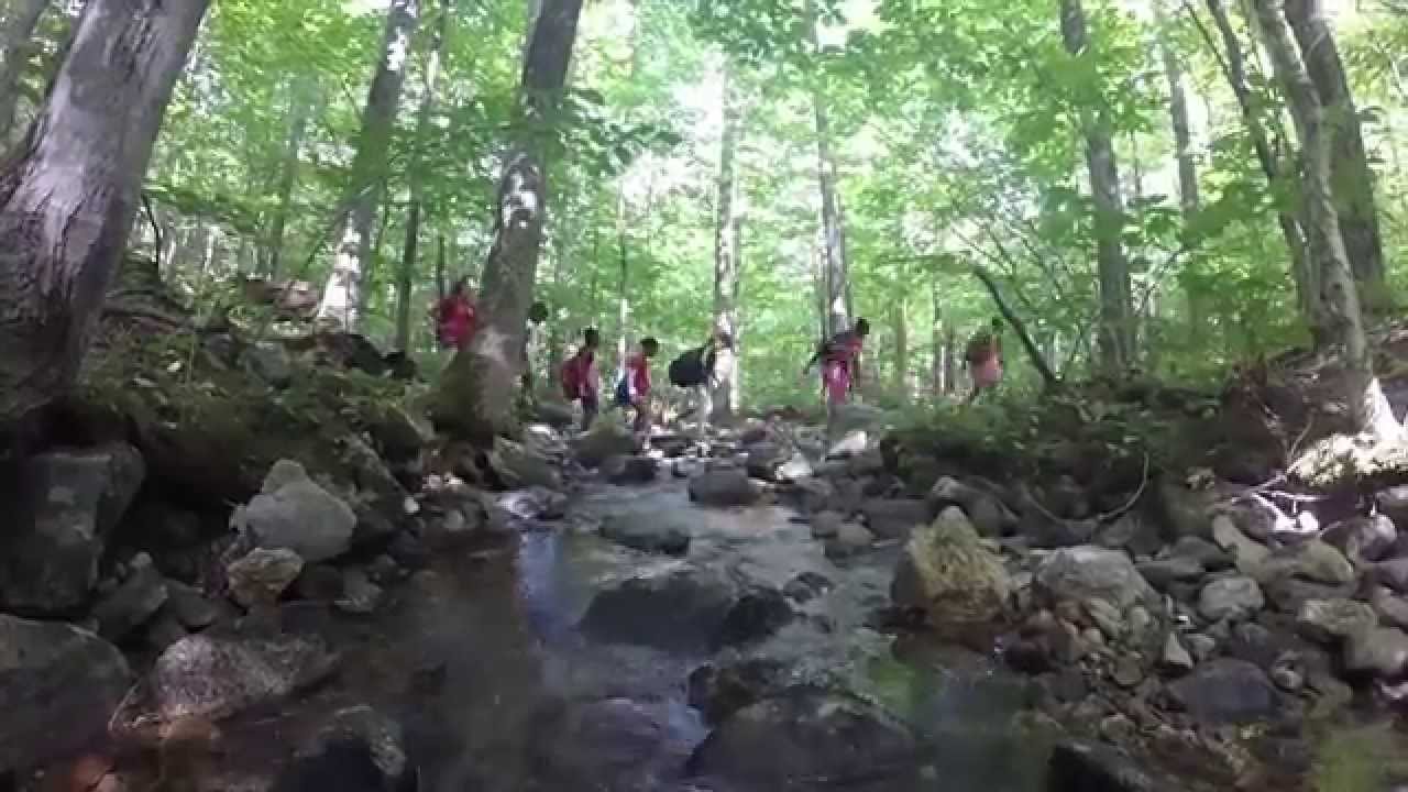 The Camp Hale Experience
