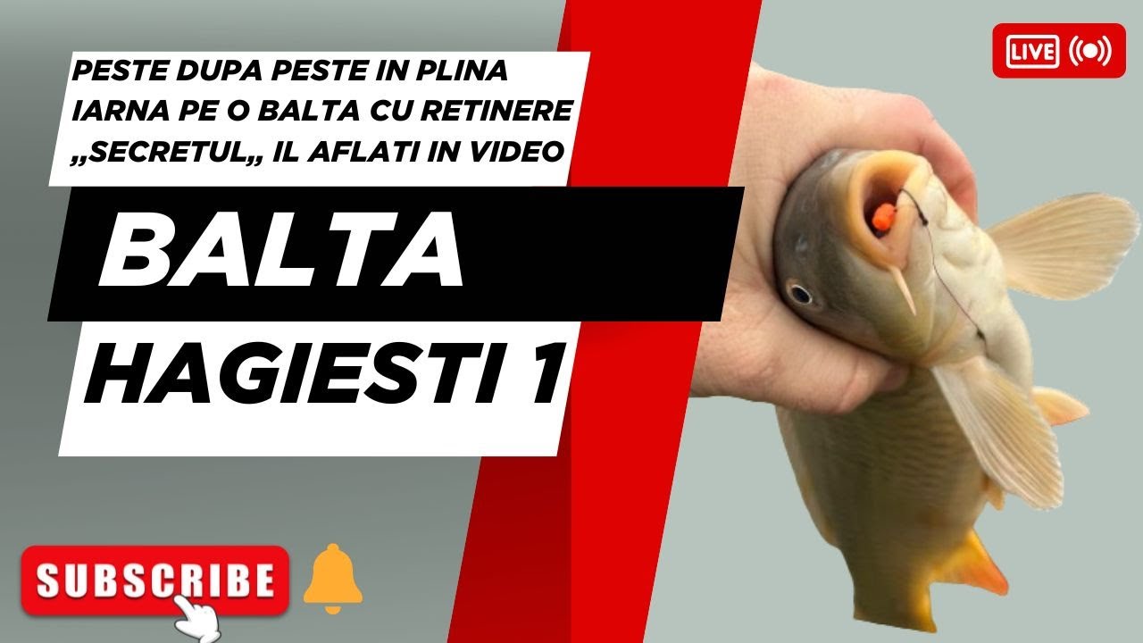 Iarna poate fi ca vara. Pescuit in plina iarna pe o balta cu retinere, pe balta Hagiesti 1!