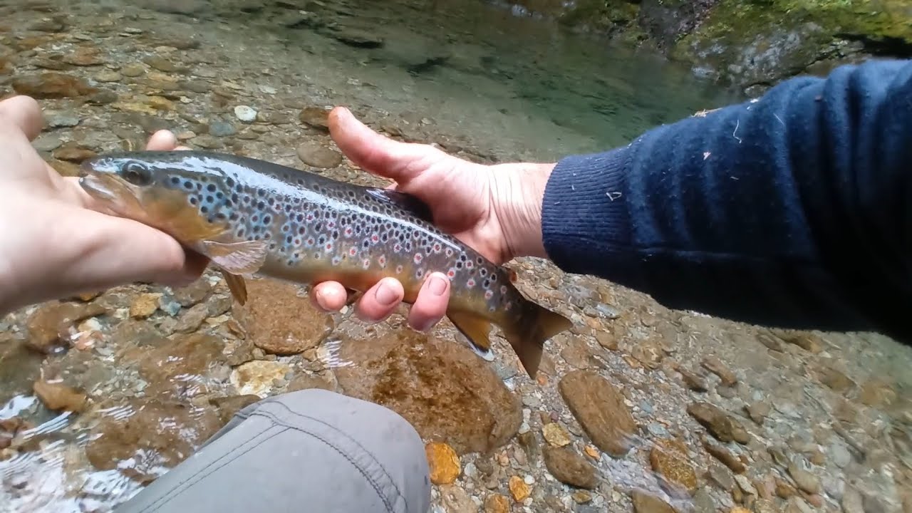 ultralight spinning alle trote di montagna sesto episodio