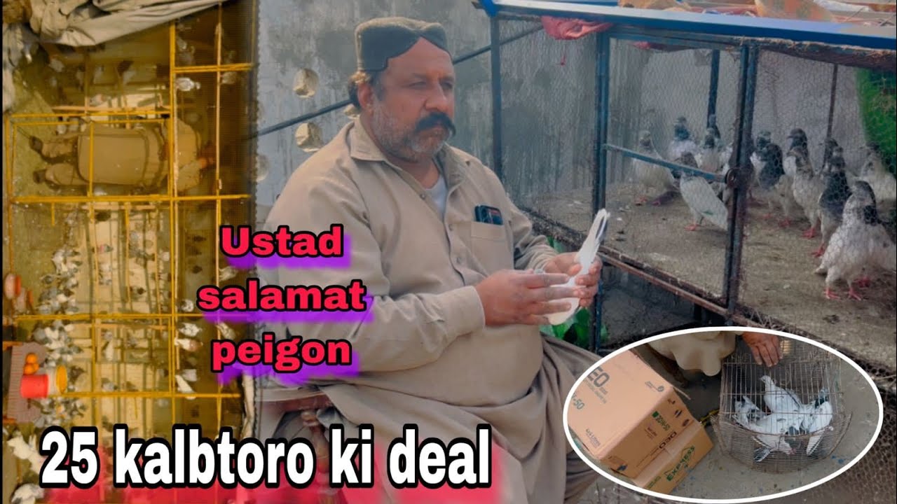 Part 2 || Dekhty Hain box main sh kitny kalbtor nikly | ustad salamat peigon 