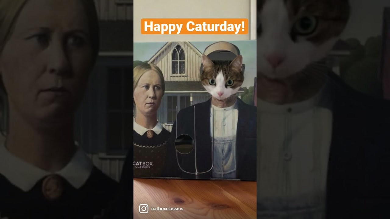 Happy #caturday! 😻😹 #cats #cat