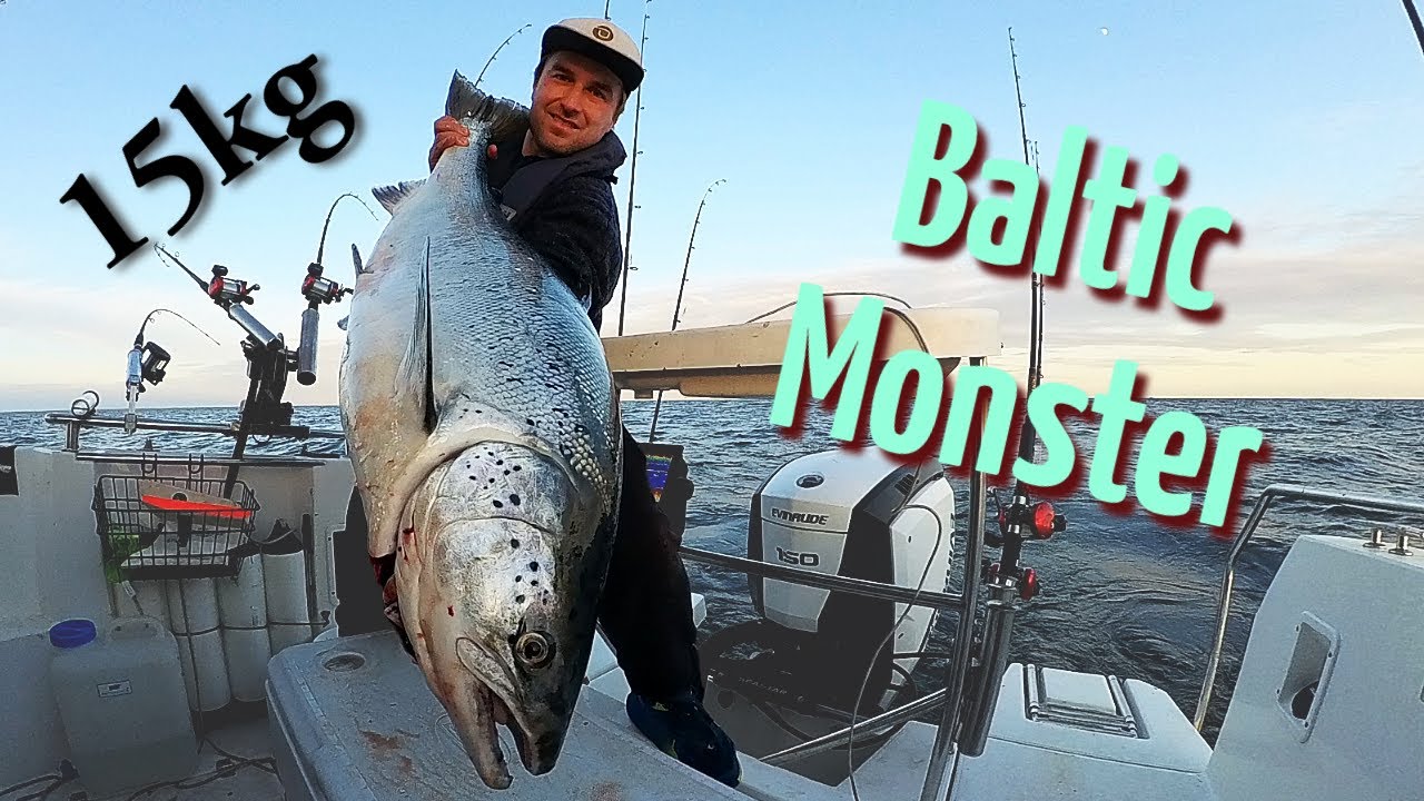 BIG Salmon STRIKES after 40 hours of trolling in Åland