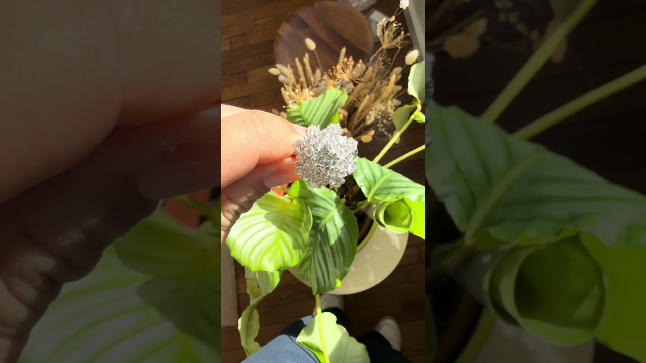 La Flora