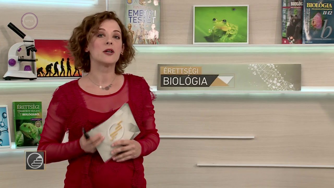 Érettségi 2019 - Biológia: Anyag és energiaforgalom a bioszférában