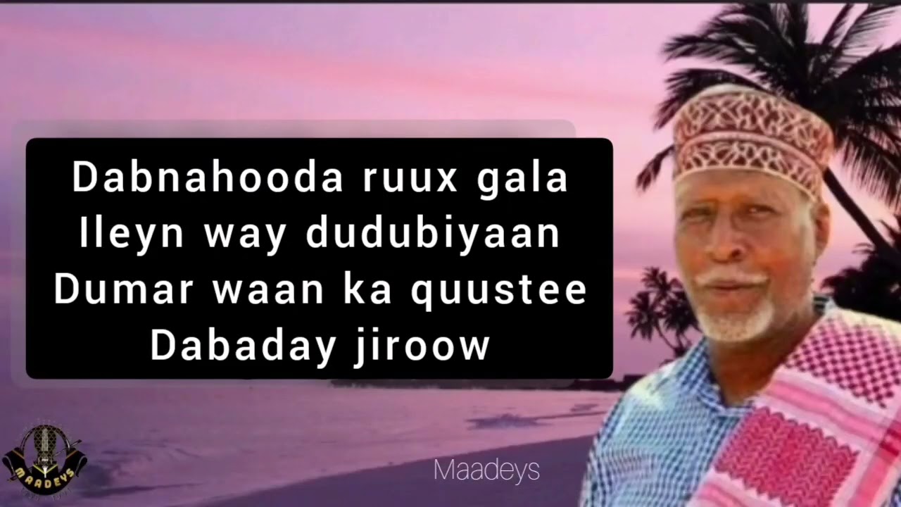 HEES | Dumar Waan Ka Quustay | Cabdi Qeys | Lyrics
