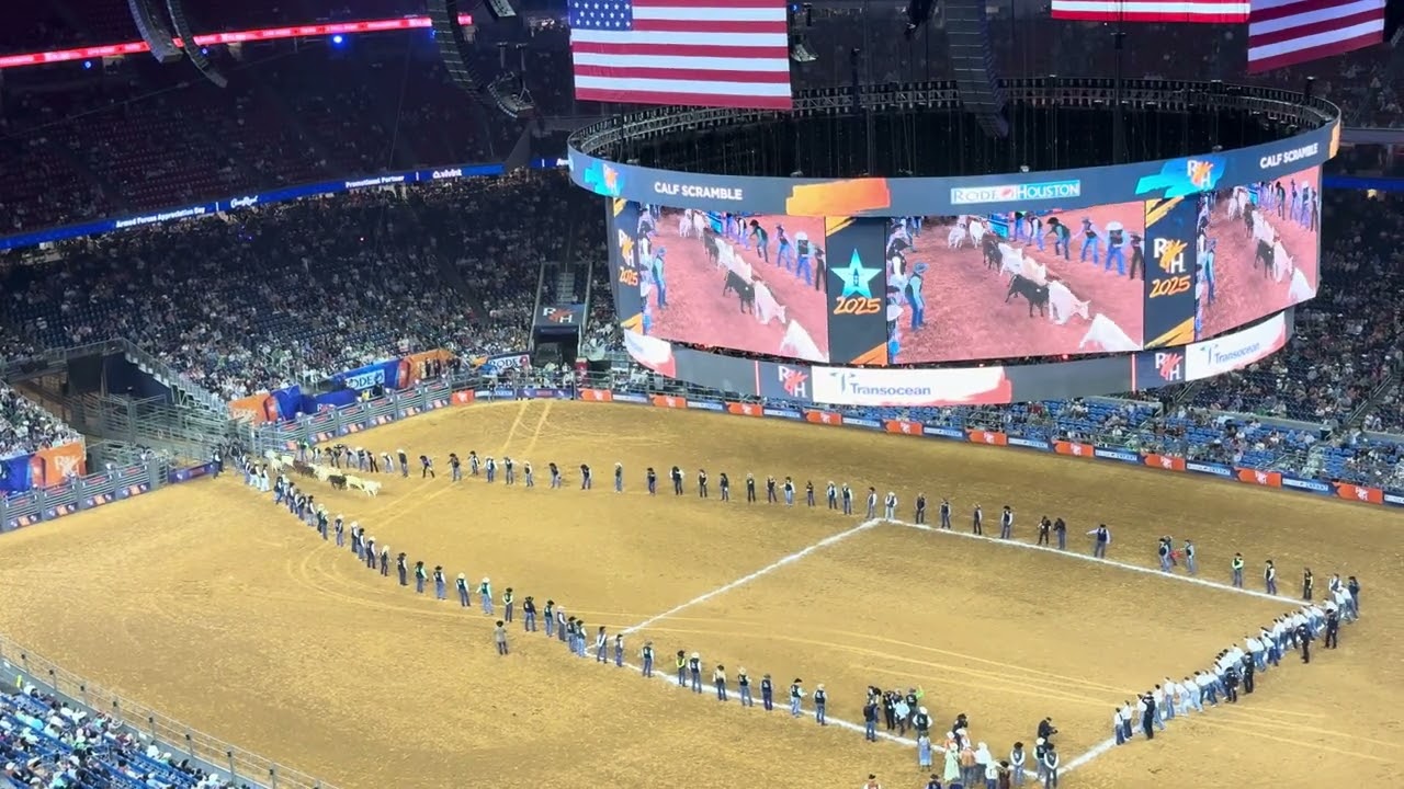 🐮 Calf Scramble at RodeoHouston 2025 | Fun-Filled & Wild Moments! 🤠🎉 #rodeo #houston #funny #games