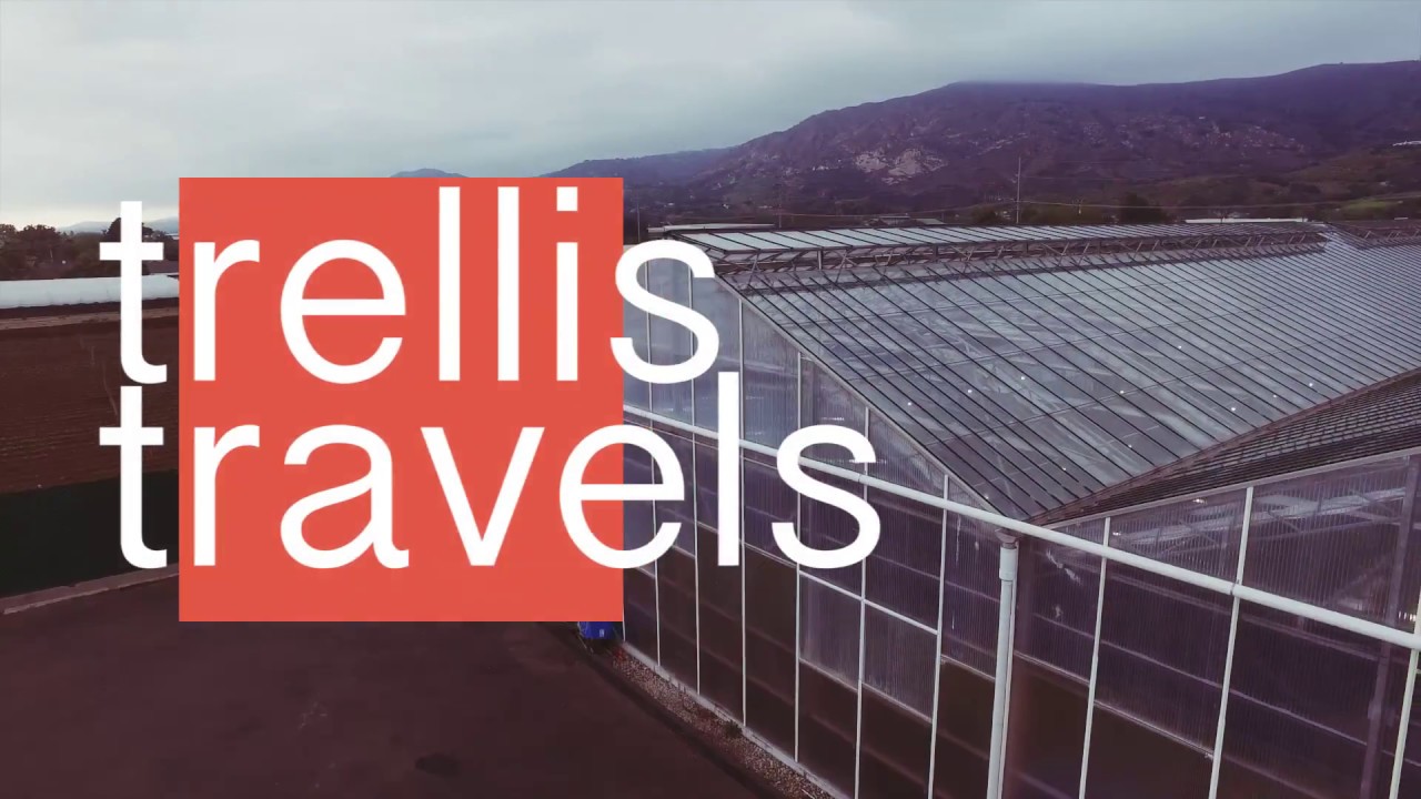Glass House Farms - Innovating the California Cannabis Industry