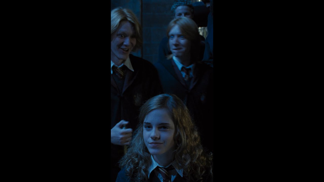 Fred and George test the Age Line #HarryPotter #FredWeasley #GeorgeWeasley