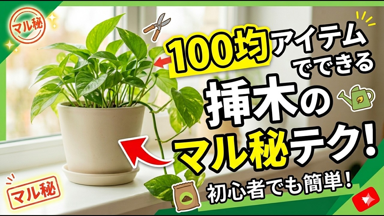 100均アイテムでできる挿木のマル秘テク！