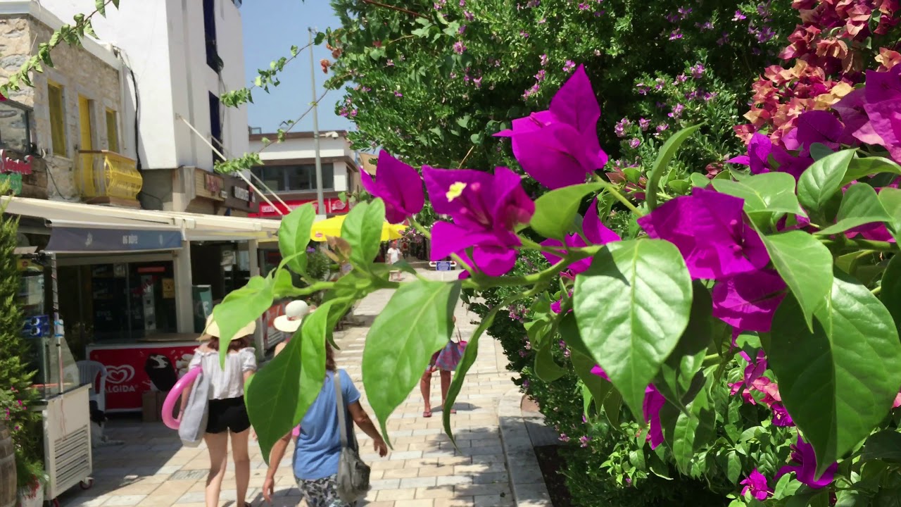 Bodrum city, Bodrum şehri