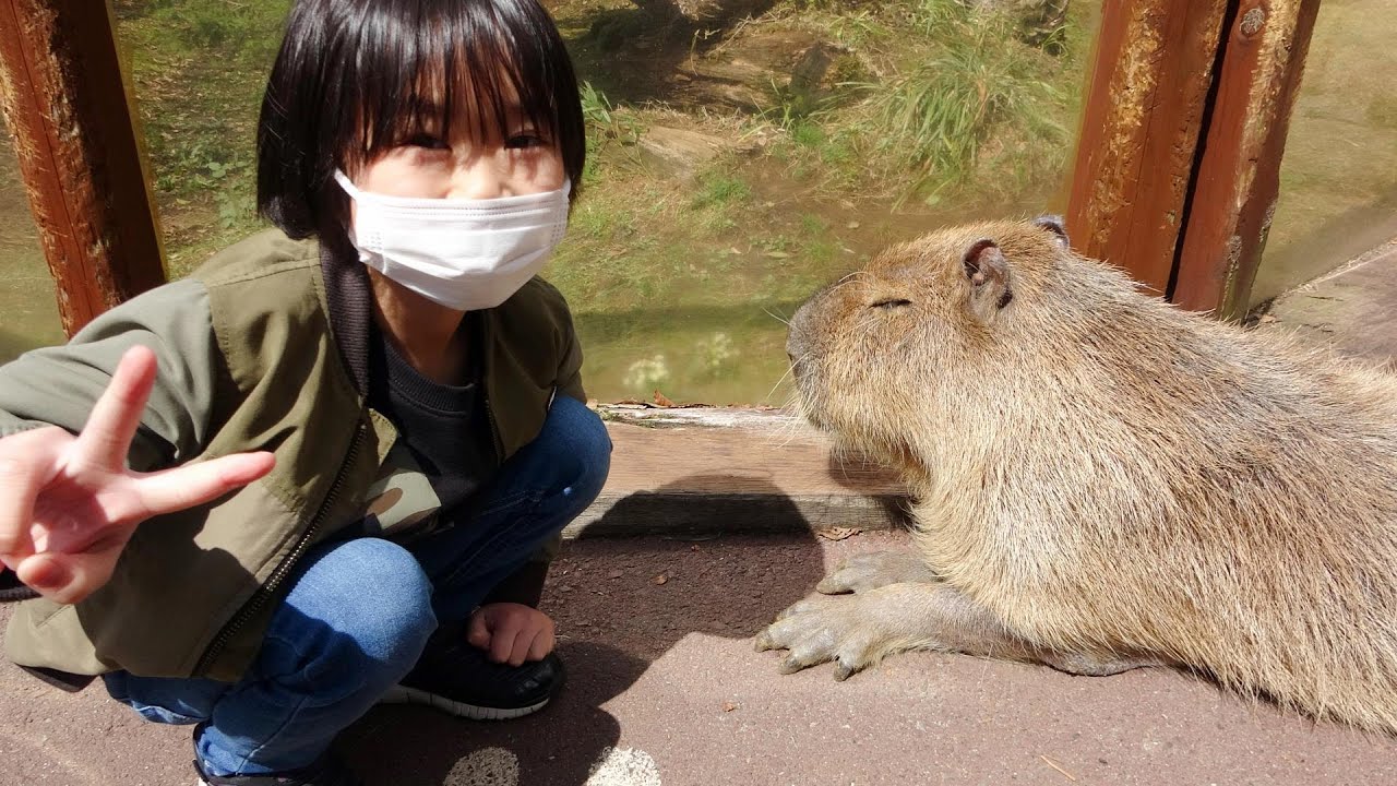 おでかけ 富士サファリパークへどうぶつさんを見に行こう！ レオスマイル