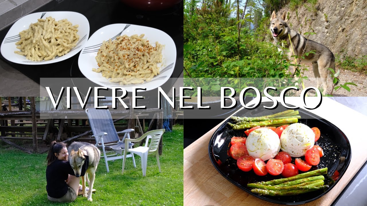 Una giornata di riposo, buon cibo e natura! - Vivere nel bosco