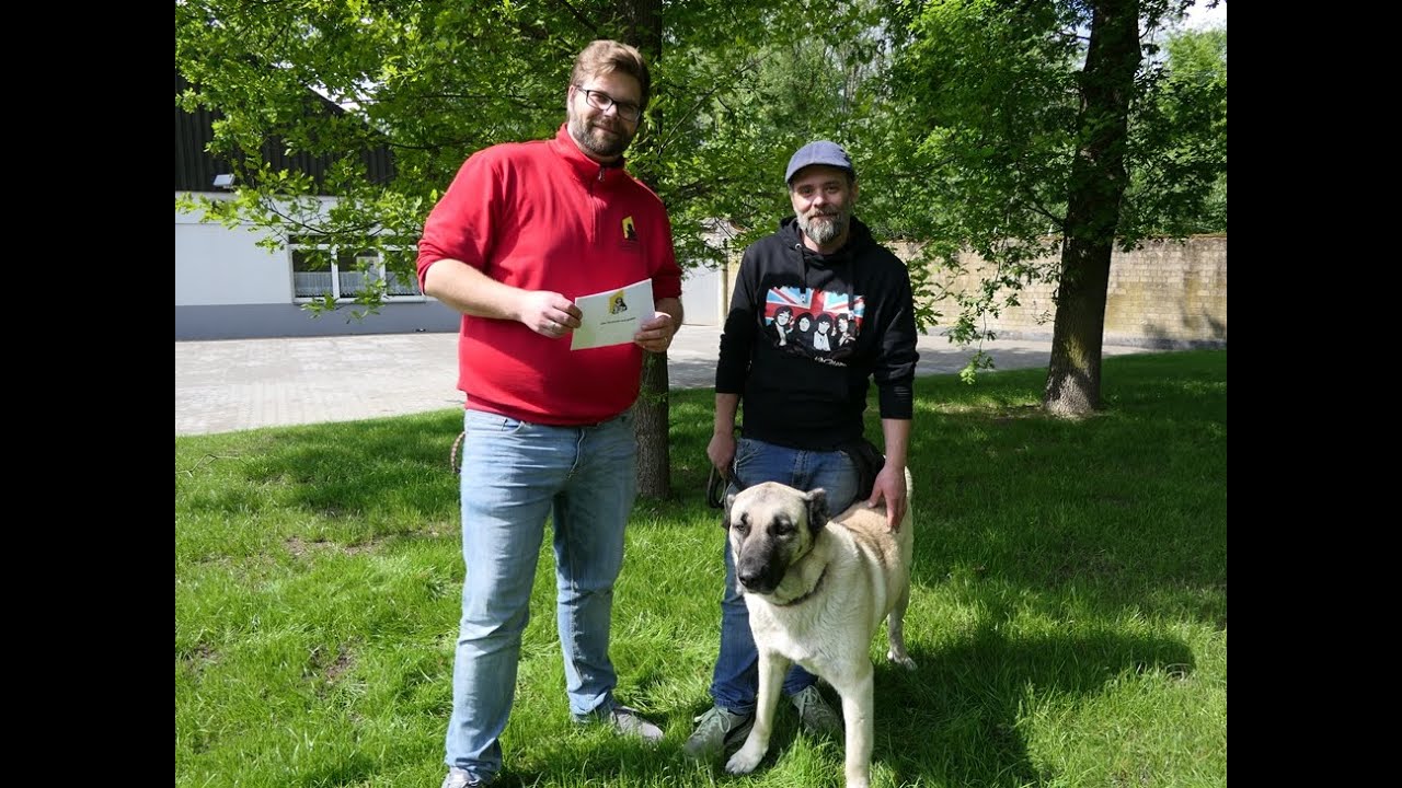 Das Tierheim mal anders - Pauli & wilde Jungs