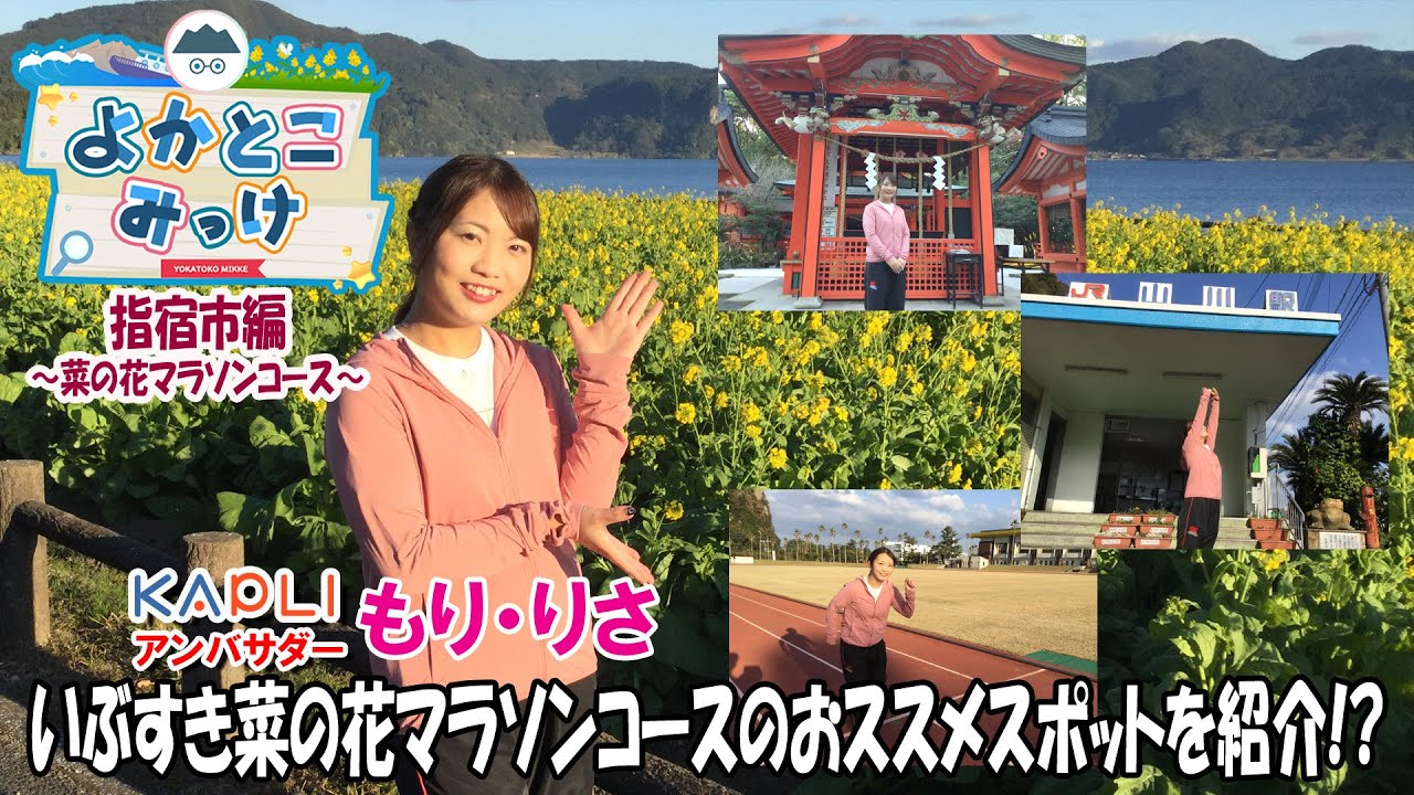 ”よかとこみっけ”指宿市編 ～いぶすき菜の花マラソンコースのおススメスポットを紹介!?～ KAPLIアンバサダー”もり・りさ”が鹿児島の魅力を発信していきます！！
