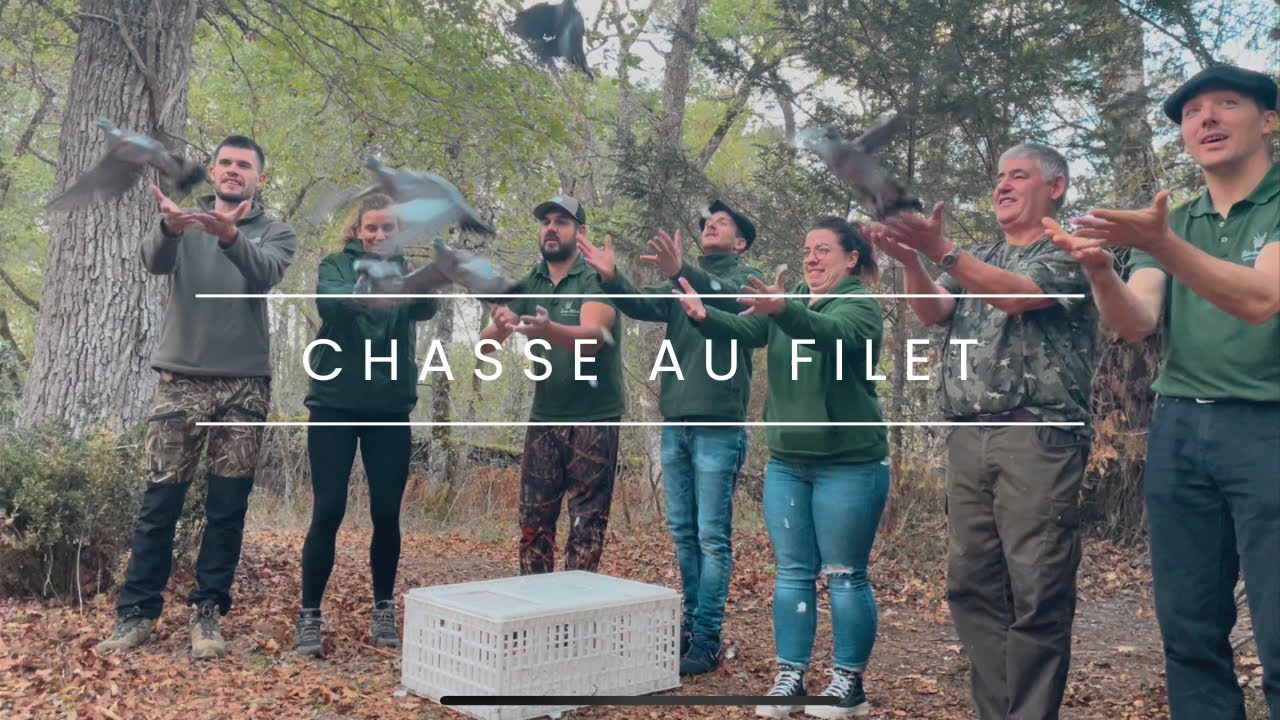 Chasse traditionnelle à la palombe