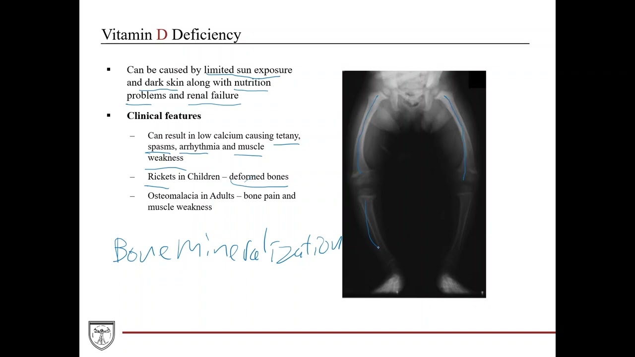 Жирорастворимые витамины [Пищевая ценность 1 из 5]