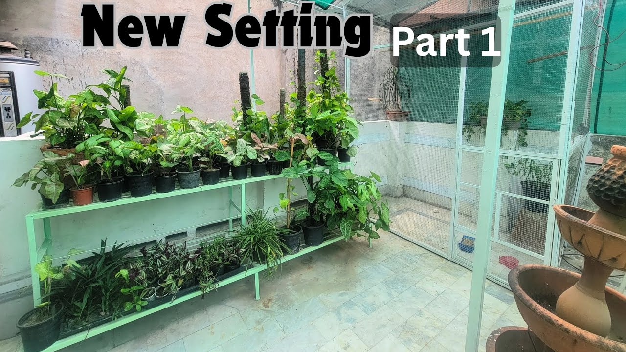 Garden ki new setting series Part 1/new cage @omersgarden7659 